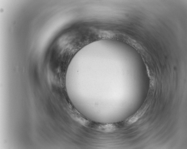 X0000060240431200510311527