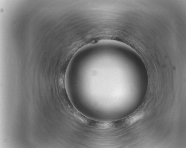 X0000060240432200510311527