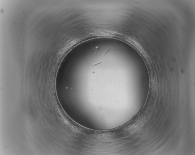 X0000060240433200510311526