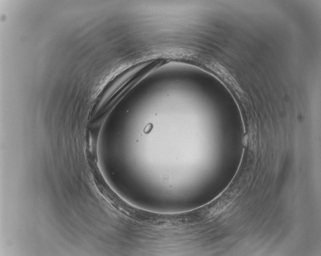 X0000060240434200510311526