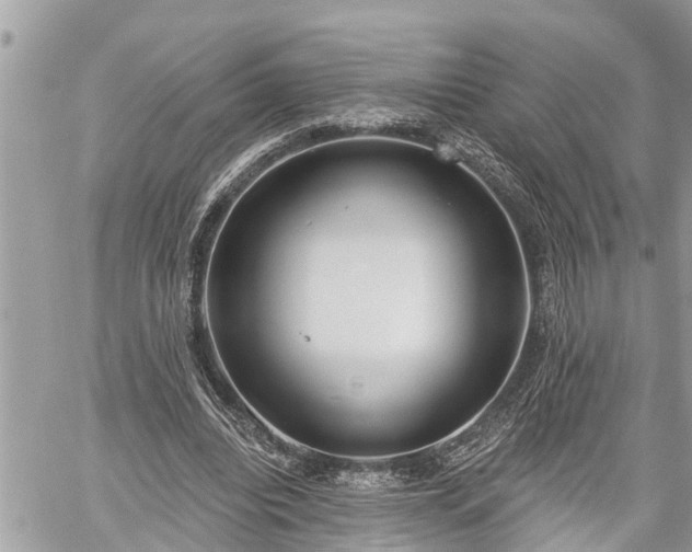 X0000060240440200510311526