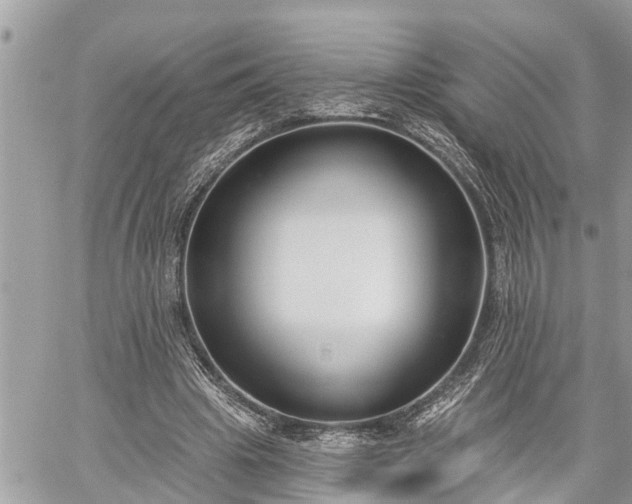 X0000060240441200510311526