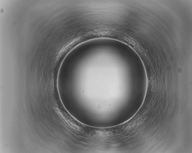 X0000060240442200510311526