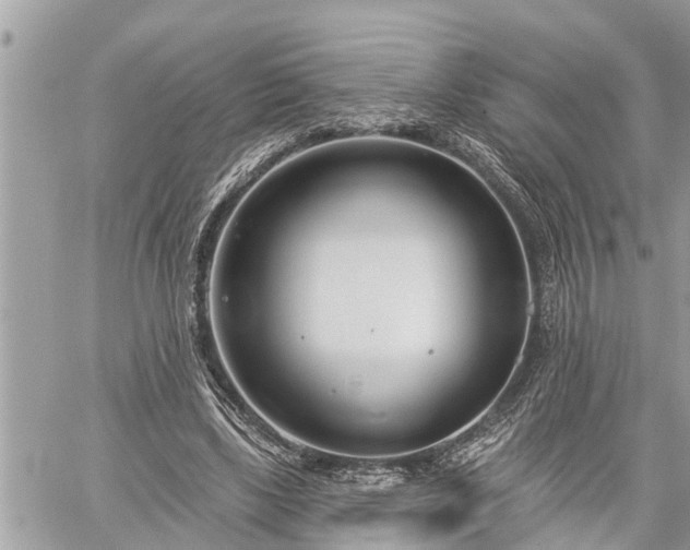 X0000060240443200510311526