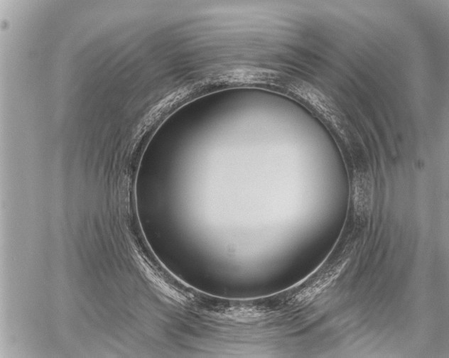 X0000060240445200510311526