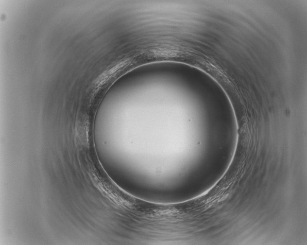 X0000060240446200510311526