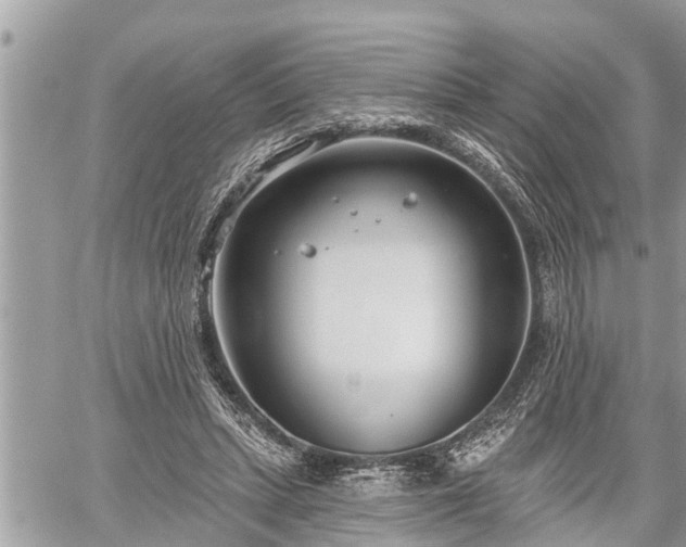 X0000060240447200510311526