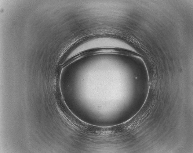 X0000060240448200510311526