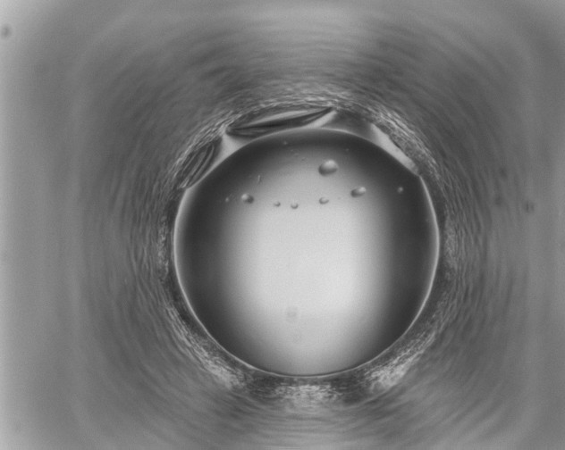 X0000060240449200510311526