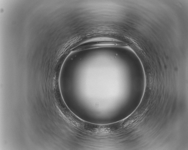 X0000060240451200510311526