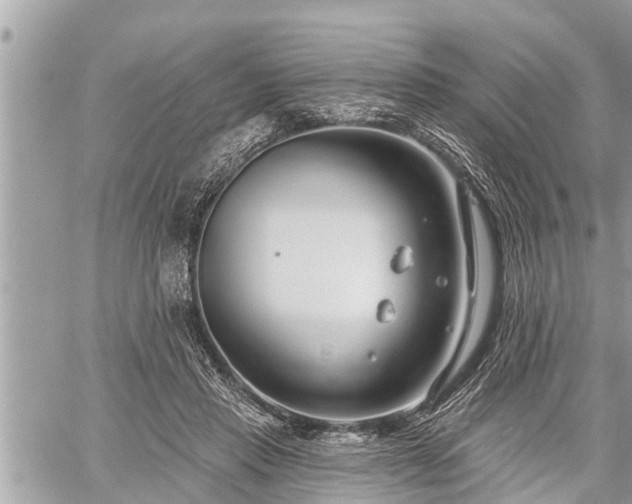 X0000060240453200510311526