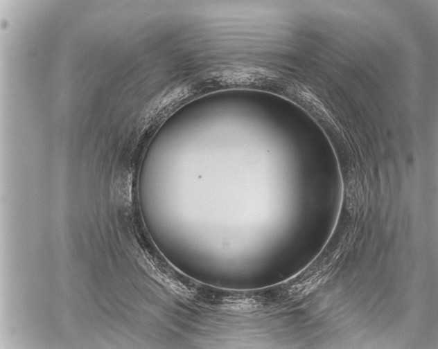 X0000060240454200510311526