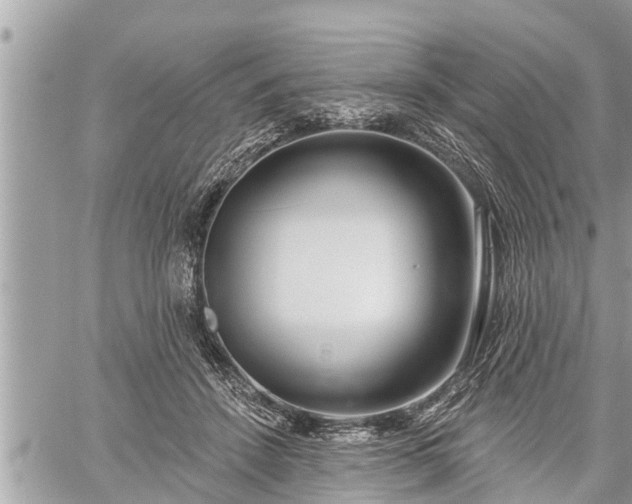 X0000060240456200510311526