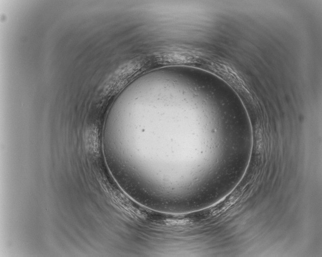 X0000060240457200510311526