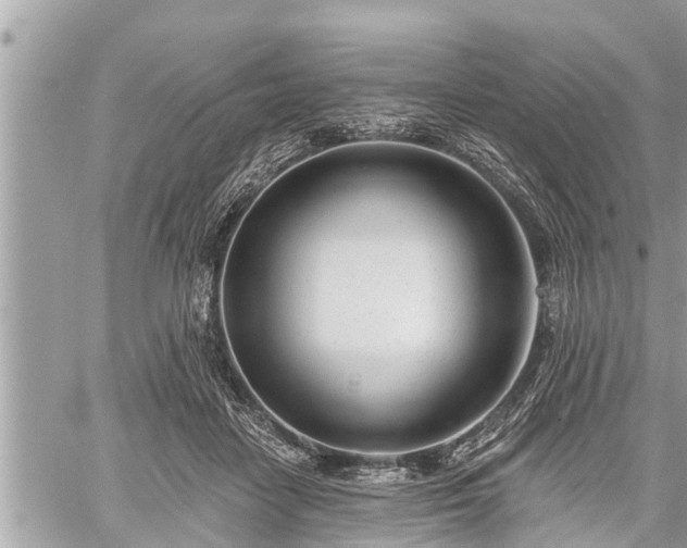 X0000060240458200510311526