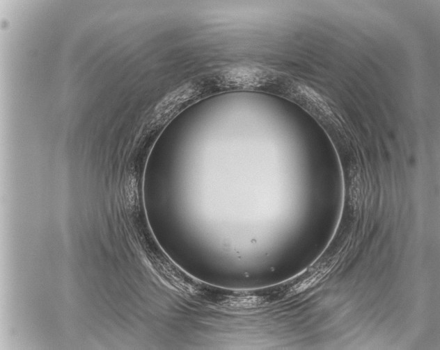 X0000060240459200510311526