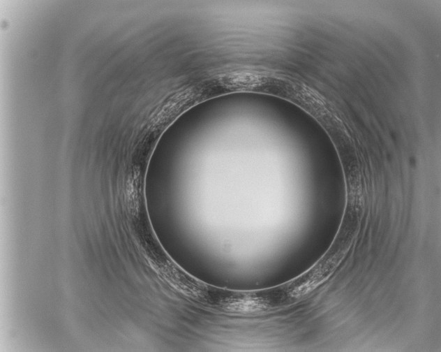 X0000060240460200510311526