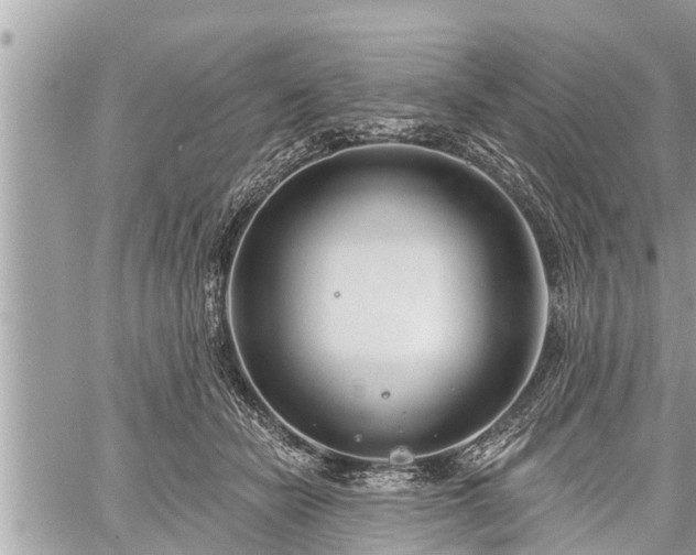 X0000060240462200510311526