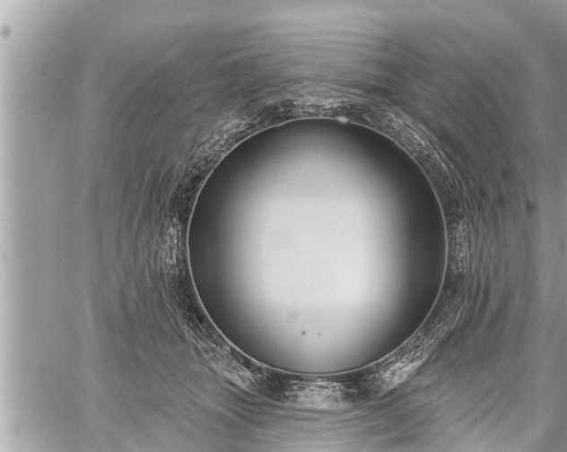 X0000060240463200510311526