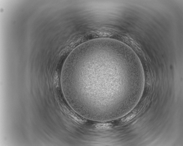 X0000060240465200510311526