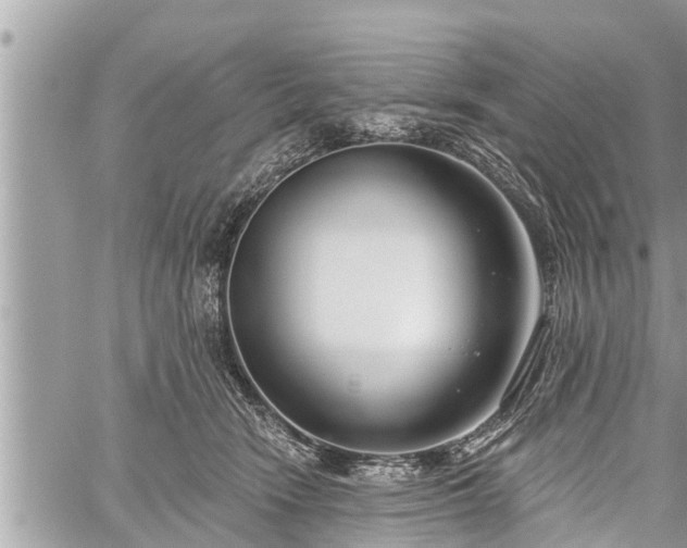 X0000060240466200510311526