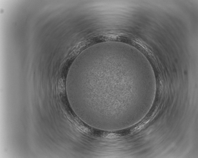 X0000060240467200510311526