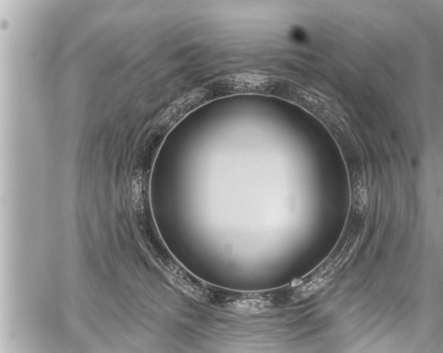 X0000060240468200510311526