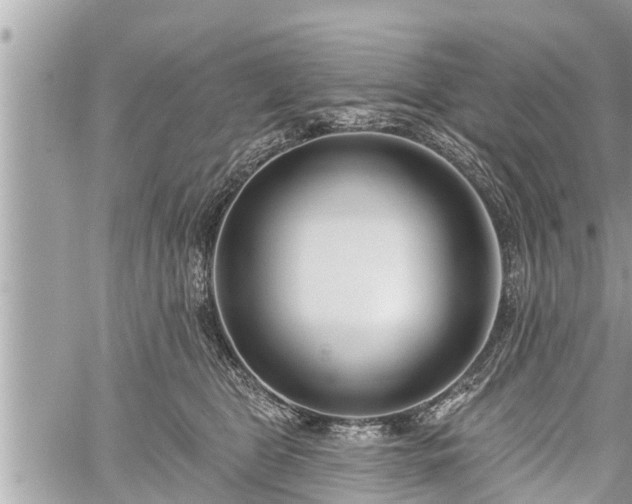 X0000060240469200510311527