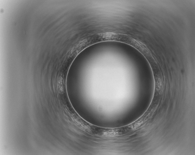 X0000060240470200510311527