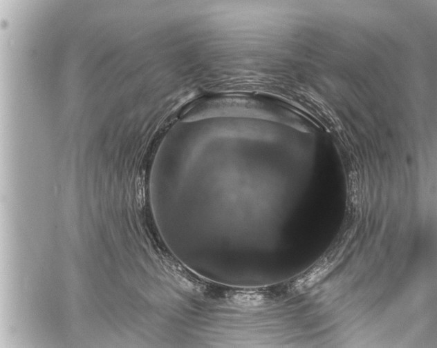 X0000060240471200510311527