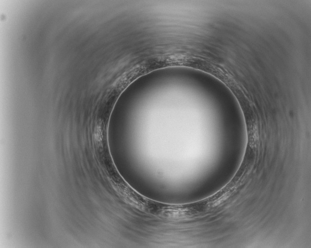 X0000060240472200510311527