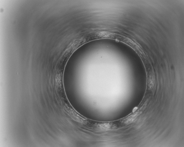 X0000060240473200510311527