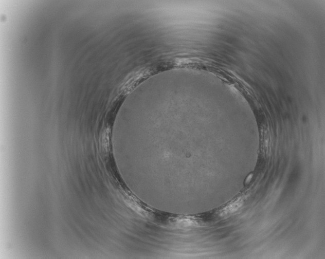 X0000060240475200510311527