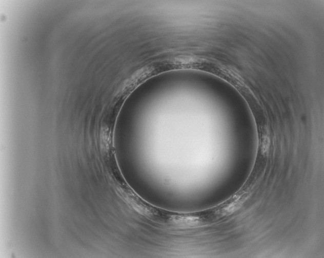 X0000060240476200510311527