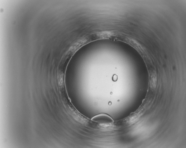 X0000060240477200510311527