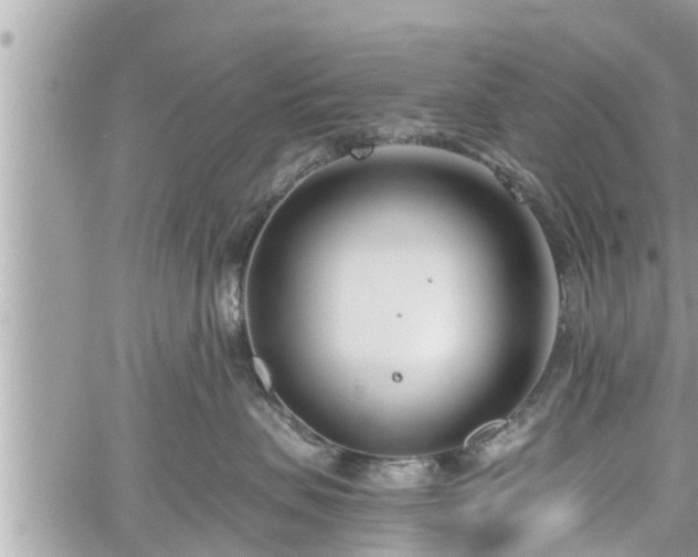 X0000060240479200510311527