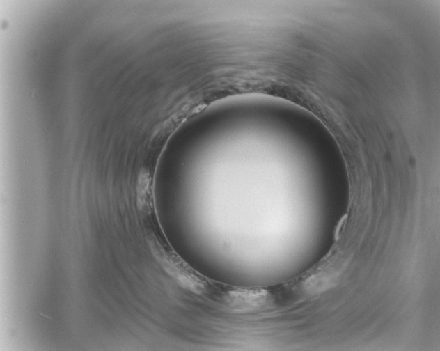 X0000060240480200510311527