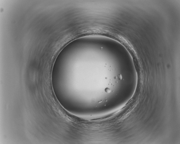 X0000060240481200510311526