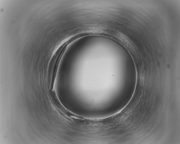 X0000060240484200510311526