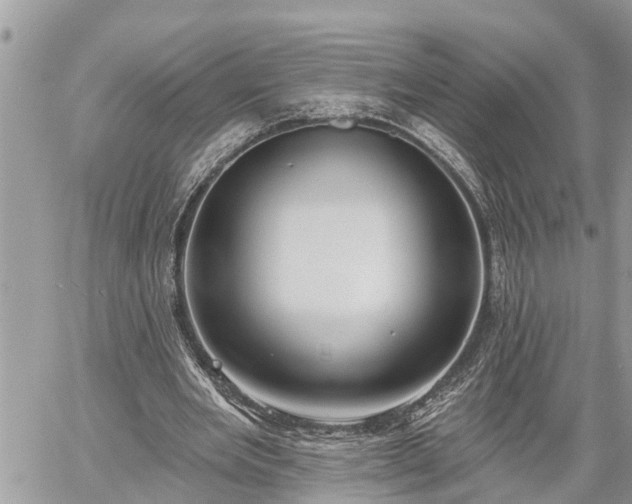 X0000060240485200510311526