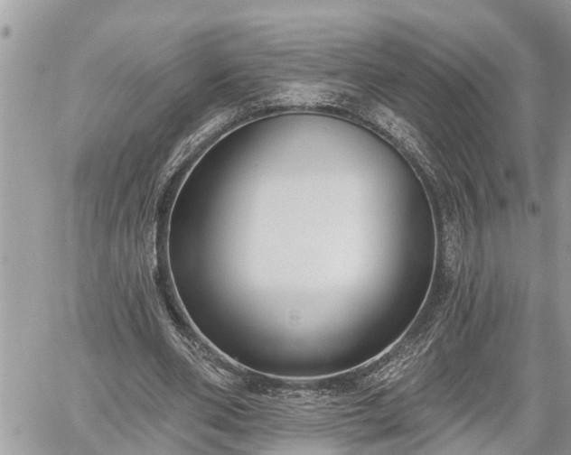 X0000060240486200510311526