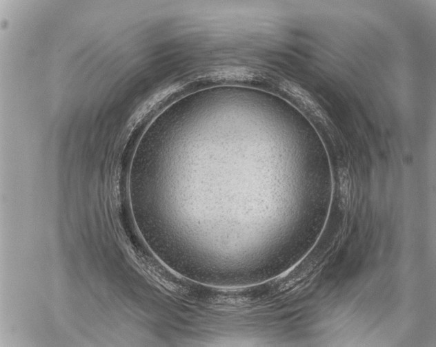 X0000060240487200510311526