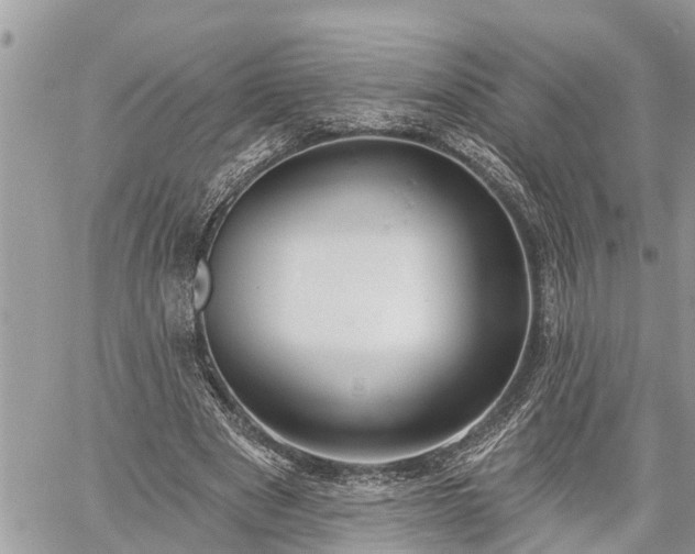 X0000060240489200510311526