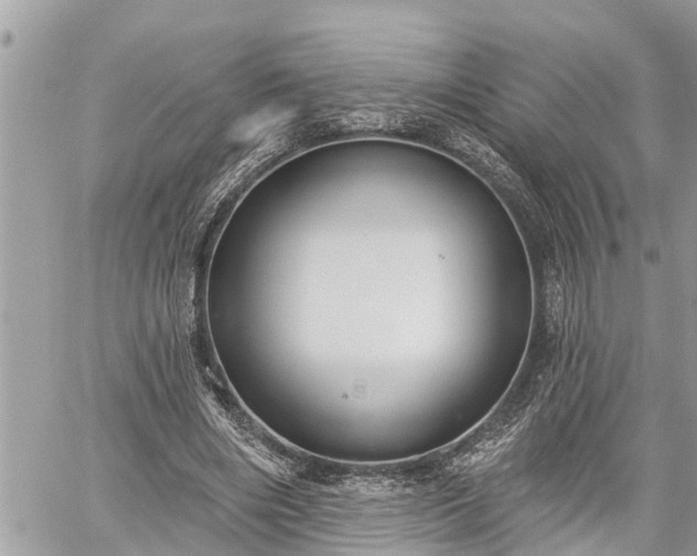 X0000060240490200510311526