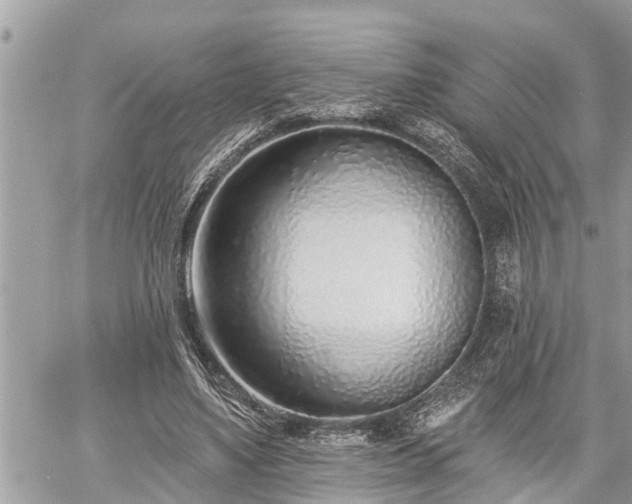 X0000060240491200510311526