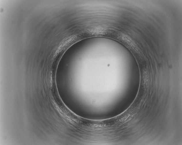 X0000060240494200510311526