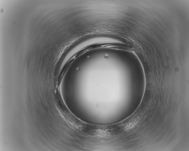 X0000060240496200510311526