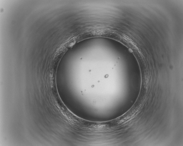 X0000060240497200510311526