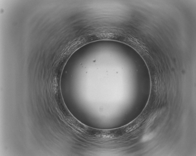 X0000060240498200510311526