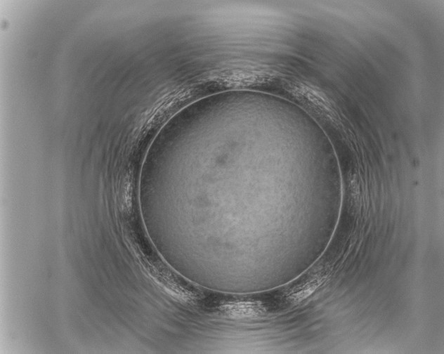 X0000060240499200510311526